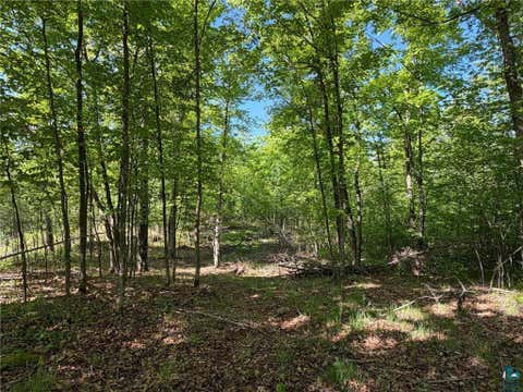 Tiny photo for 54003 Dollar Lake Rd, Sandstone, MN 55072 (MLS # 6125832)
