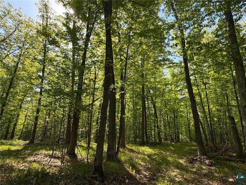 Tiny photo for 54003 Dollar Lake Rd, Sandstone, MN 55072 (MLS # 6125832)