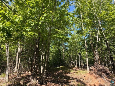 Tiny photo for 54003 Dollar Lake Rd, Sandstone, MN 55072 (MLS # 6125832)