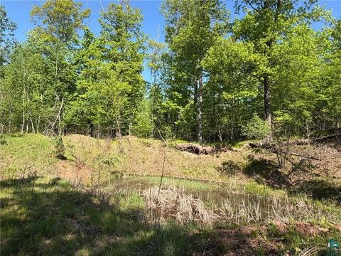 Tiny photo for 54003 Dollar Lake Rd, Sandstone, MN 55072 (MLS # 6125832)