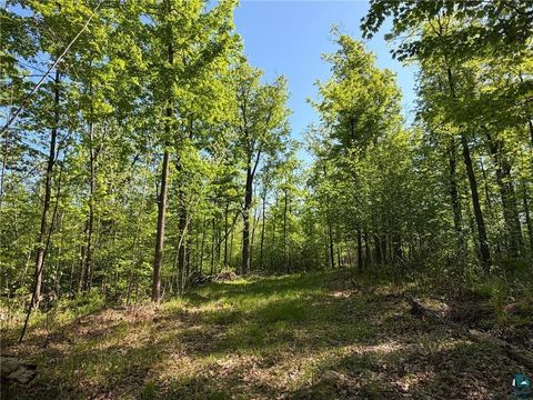 Tiny photo for 54003 Dollar Lake Rd, Sandstone, MN 55072 (MLS # 6125832)