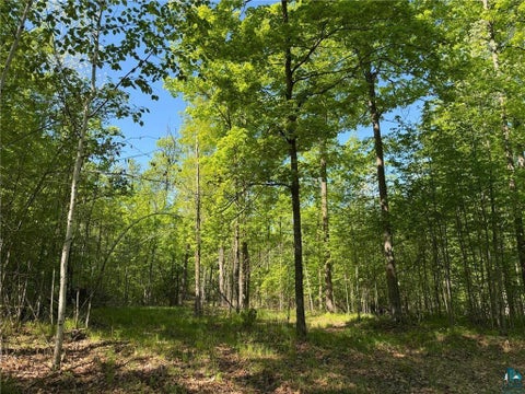 Tiny photo for 54003 Dollar Lake Rd, Sandstone, MN 55072 (MLS # 6125832)