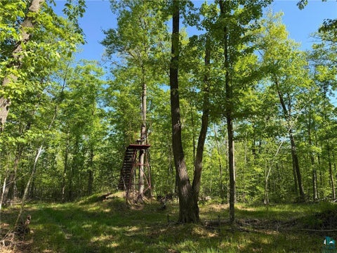 Tiny photo for 54003 Dollar Lake Rd, Sandstone, MN 55072 (MLS # 6125832)