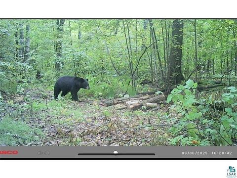 Tiny photo for 54003 Dollar Lake Rd, Sandstone, MN 55072 (MLS # 6125832)