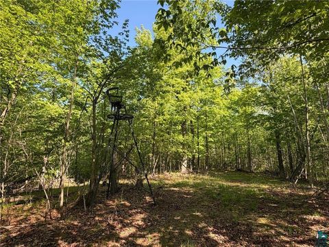 Tiny photo for 54003 Dollar Lake Rd, Sandstone, MN 55072 (MLS # 6125832)