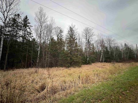 Tiny photo for TBD Townline Rd, Hibbing, MN 55746 (MLS # 6122858)