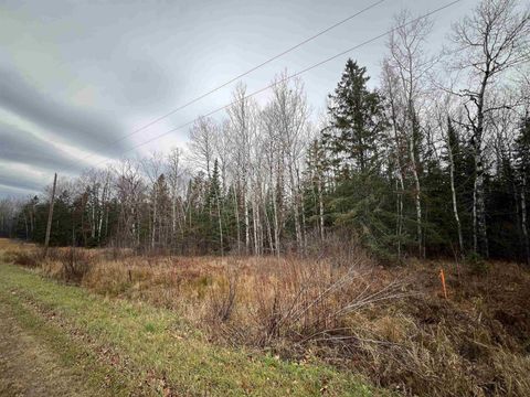 Tiny photo for TBD Townline Rd, Hibbing, MN 55746 (MLS # 6122858)