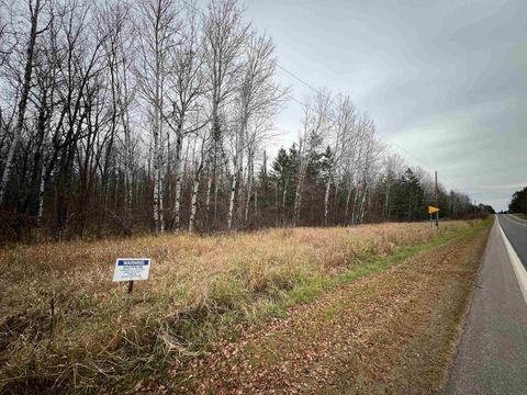 Tiny photo for TBD Townline Rd, Hibbing, MN 55746 (MLS # 6122858)