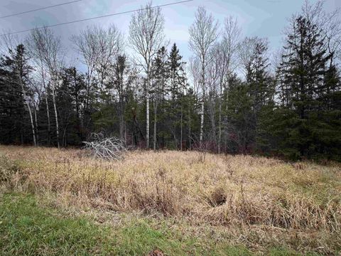 Tiny photo for TBD Townline Rd, Hibbing, MN 55746 (MLS # 6122858)