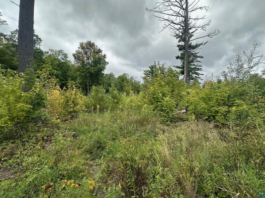 ADDRESS PRIVATE, CLOQUET, MN 55720 - Image 1eb3f75dc0caa367455e3995dd99d2a6/1265833420