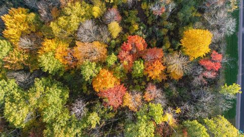 Tiny photo for TBD Maple Grove Rd, Hermantown, MN 55810 (MLS # 6124145)