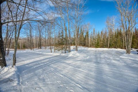 Tiny photo for 26756 County Rd 16, Hibbing, MN 55746 (MLS # 6123178)