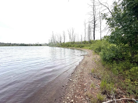 Tiny photo for 2377 N McDougal Lake Rd, Isabella, MN 55607 (MLS # 6126827)