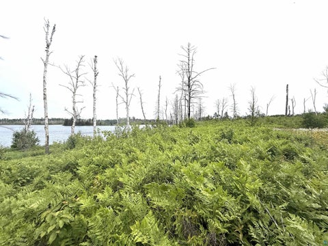 Tiny photo for 2377 N McDougal Lake Rd, Isabella, MN 55607 (MLS # 6126827)