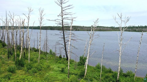 Tiny photo for 2377 N McDougal Lake Rd, Isabella, MN 55607 (MLS # 6126827)