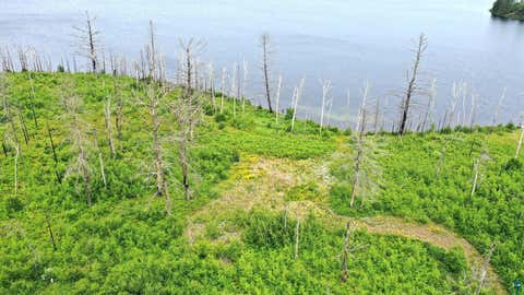 Tiny photo for 2377 N McDougal Lake Rd, Isabella, MN 55607 (MLS # 6126827)