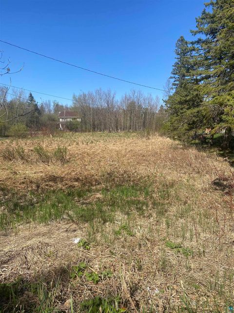 Tiny photo for 28 Hutchinson Rd, Duluth, MN 55811 (MLS # 6125452)
