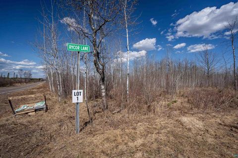 Tiny photo for 60 Rycor Lane, Duluth, MN 55811 (MLS # 6124755)