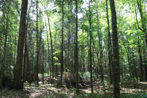Tiny photo for 50 S Maple Dr, Poplar, WI 54864 (MLS # 6123690)