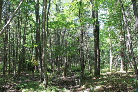 Tiny photo for 50 S Maple Dr, Poplar, WI 54864 (MLS # 6123690)