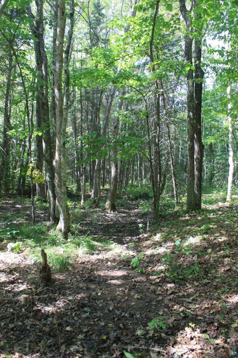 Tiny photo for 50 S Maple Dr, Poplar, WI 54864 (MLS # 6123690)