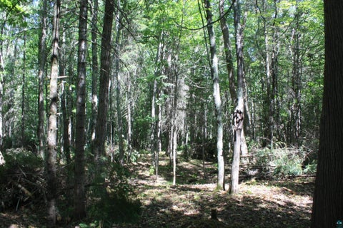 Tiny photo for 50 S Maple Dr, Poplar, WI 54864 (MLS # 6123690)