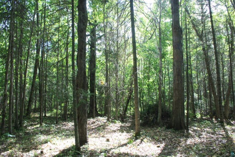 Tiny photo for 50 S Maple Dr, Poplar, WI 54864 (MLS # 6123690)