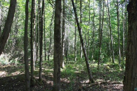 Tiny photo for 50 S Maple Dr, Poplar, WI 54864 (MLS # 6123690)