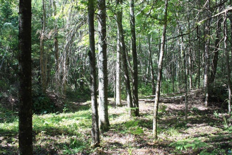 Tiny photo for 50 S Maple Dr, Poplar, WI 54864 (MLS # 6123690)