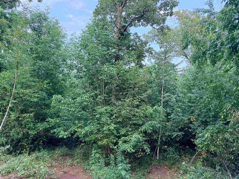 Tiny photo for 68 Old Ferry Rd, Hinckley, MN 55037 (MLS # 6127224)
