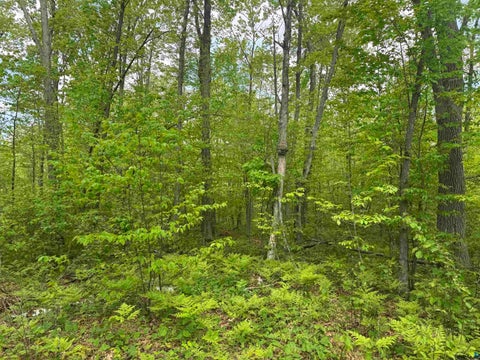 Tiny photo for 68 Old Ferry Rd, Hinckley, MN 55037 (MLS # 6127224)