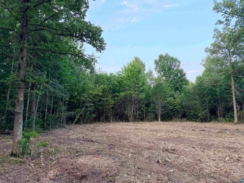 Tiny photo for 68 Old Ferry Rd, Hinckley, MN 55037 (MLS # 6127224)