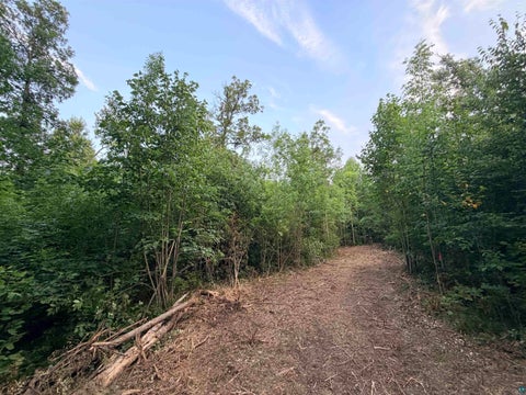 Tiny photo for 68 Old Ferry Rd, Hinckley, MN 55037 (MLS # 6127224)