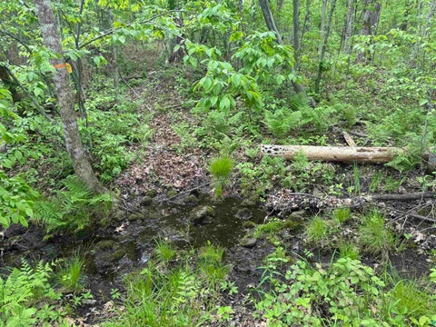 Tiny photo for 68 Old Ferry Rd, Hinckley, MN 55037 (MLS # 6127224)