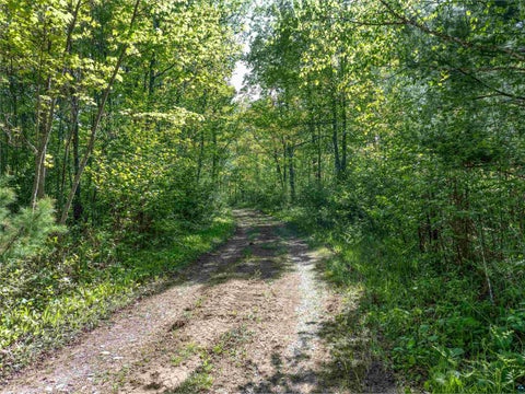 Tiny photo for 9064 Peppard Rd, Britt, MN 55710 (MLS # 6125886)