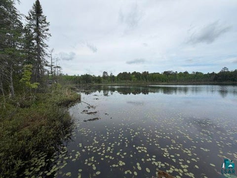 Tiny photo for 9064 Peppard Rd, Britt, MN 55710 (MLS # 6125886)