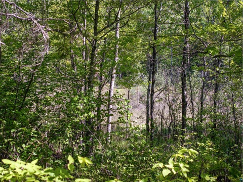 Tiny photo for 9064 Peppard Rd, Britt, MN 55710 (MLS # 6125886)