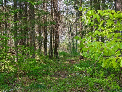 Tiny photo for 9064 Peppard Rd, Britt, MN 55710 (MLS # 6125886)