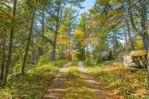 Tiny photo for 2166 Passi Rd, Ely, MN 55731 (MLS # 6128309)