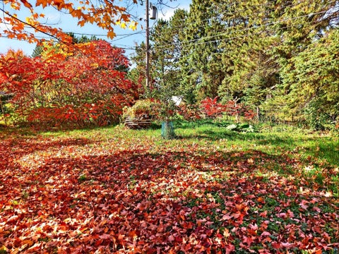 Tiny photo for 2115 Doddridge Ave, Cloquet, MN 55720 (MLS # 6128361)