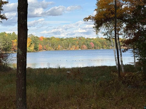 Tiny photo for 51190 Loon Echo Ln, Barnes, WI 54873 (MLS # 6128442)