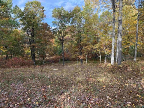Tiny photo for 51190 Loon Echo Ln, Barnes, WI 54873 (MLS # 6128442)
