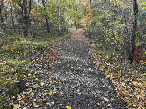 Tiny photo for 51190 Loon Echo Ln, Barnes, WI 54873 (MLS # 6128442)