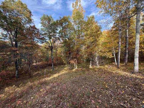 Tiny photo for 51190 Loon Echo Ln, Barnes, WI 54873 (MLS # 6128442)