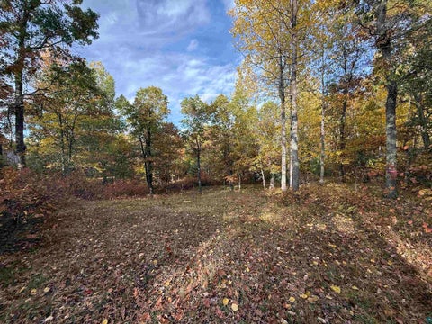 Tiny photo for 51190 Loon Echo Ln, Barnes, WI 54873 (MLS # 6128442)