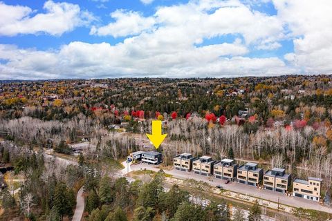 Tiny photo for 3631 London Rd, Duluth, MN 55804 (MLS # 6123122)