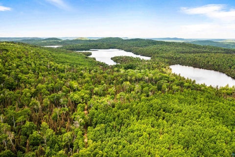 Tiny photo for 1473 Pine Mountain Rd, Grand Marais, MN 55604 (MLS # 6126314)