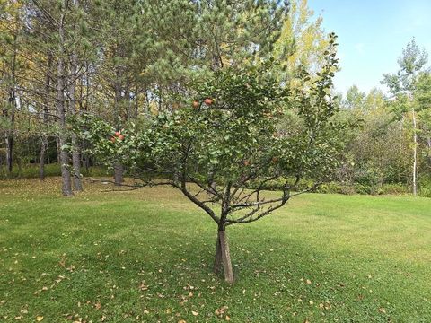 Tiny photo for 4085 Fiskett Rd, Duluth, MN 55803 (MLS # 6122416)