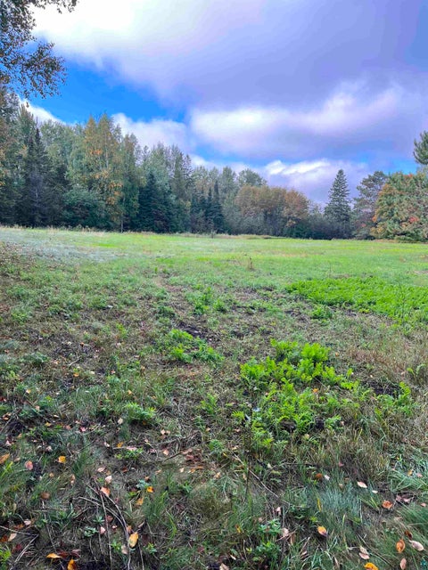 Tiny photo for 397 Lavaque Bypass, Hermantown, MN 55811 (MLS # 6128176)