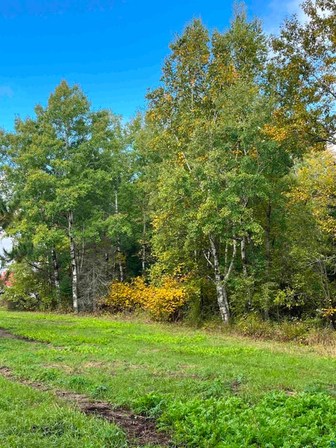 Tiny photo for 397 Lavaque Bypass, Hermantown, MN 55811 (MLS # 6128176)